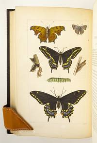 A TREATISE ON SOME OF THE INSECTS INJURIOUS TO VEGETATION