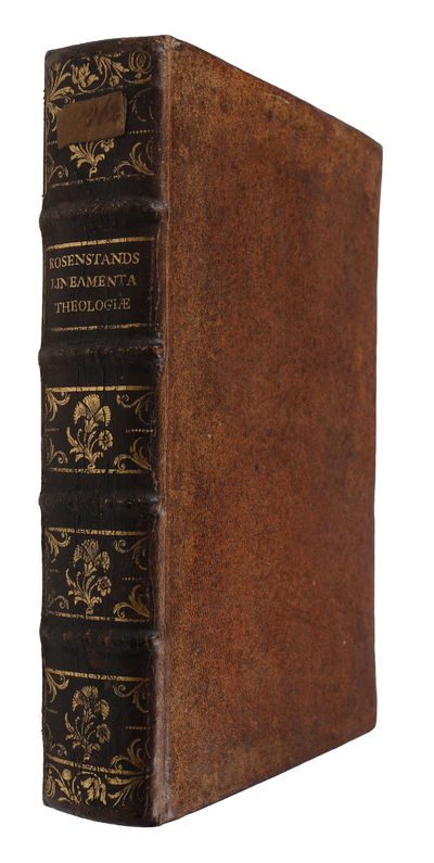 Lineamenta theologiæ exegetico-homileticæ in usum auditorum ducta. (photo 2)