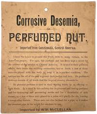 Corrosive Desemia, or Perfumed Nut. Imported from Guatemala, Central America