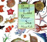 Pond Lake River Sea