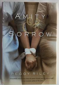 cover of Amity & Sorrow: A Novel