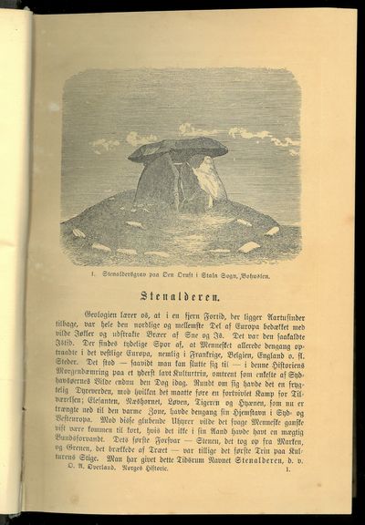 Illustreret Norges Historie. I-V (i 7 bd.) (photo 4)