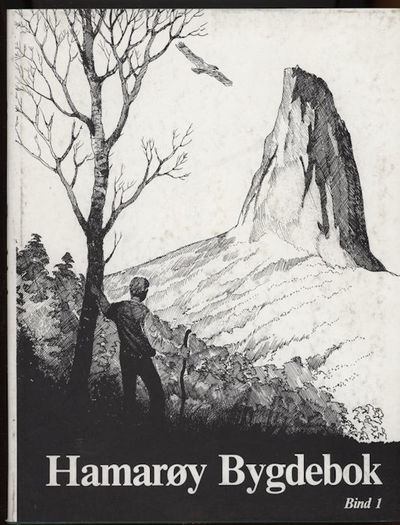Hamarøy bygdebok. Bind 1