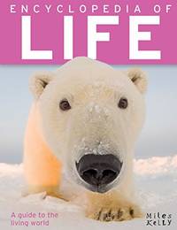 Encyclopedia of Life