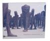Magdalena Abakanowicz: Agora