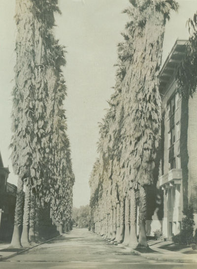 A Charming Album of Photographs Taken in Southern California in 1919 by a Michigan Photographer Touring with his Family in a Model T Ford