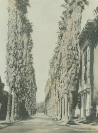 A Charming Album of Photographs Taken in Southern California in 1919 by a Michigan Photographer Touring with his Family in a Model T Ford