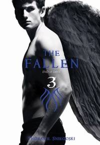 The Fallen 3 Vol. 3 : End of Days