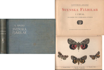 SVENSKA FJÄRILAR I URVAL. Inledning till…