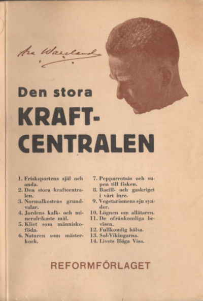 DEN STORA KRAFTCENTRALEN.