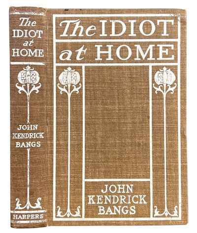 The Idiot at Home
