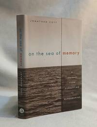 On the Sea of Memory: A Journey from Forgetting to Remembering