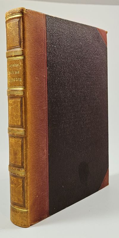 Briefe aus Aegypten, Aethiopien und der halbinsel…