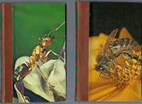cover of La Vie Des Termites & La Vie Des Fourmis. La Vie Des Abeilles ( 2 Tomes)