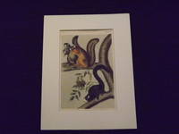 image of Quadrupeds of North America: Fox Squirrel.