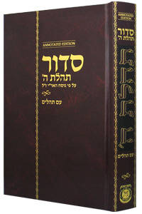 Siddur Annotated Hebrew Standard Size (Hebrew Edition) by Compiler Rabbi Schneur Zalman of Liadi - Hardcover - 2005-03-01 - from Amazing Bookshelf, Llc (SKU: 314200590)