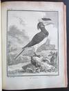 Histoire Naturelle, Generale et Particuliere, Avec La Description Du Cabinet Du Roy. Oiseaux.