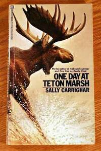 image of One Day At Teton Marsh.