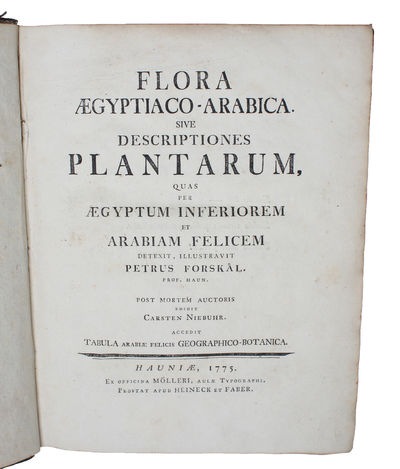 Flora Ægyptiaco-Arabica. Sive Descriptiones…