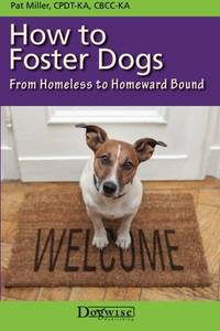 How to Foster Dogs: From Homeless to Homeward Bound