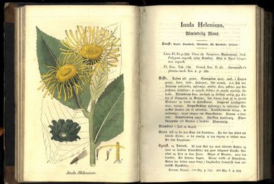 Herbarium pharmaceuticum eller Afbildninger til Professorernes Herholdts og Schumachers Fortegnelse over de officinelle Lægemidler af Planteriget som voxe vildt, eller kunne dyrkes i de danske Stater. (photo 2)
