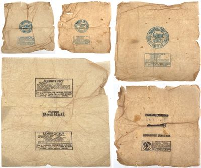 Printed Citrus Fruit Wrappers with Printed Recipes