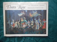cover of Thorn Rose