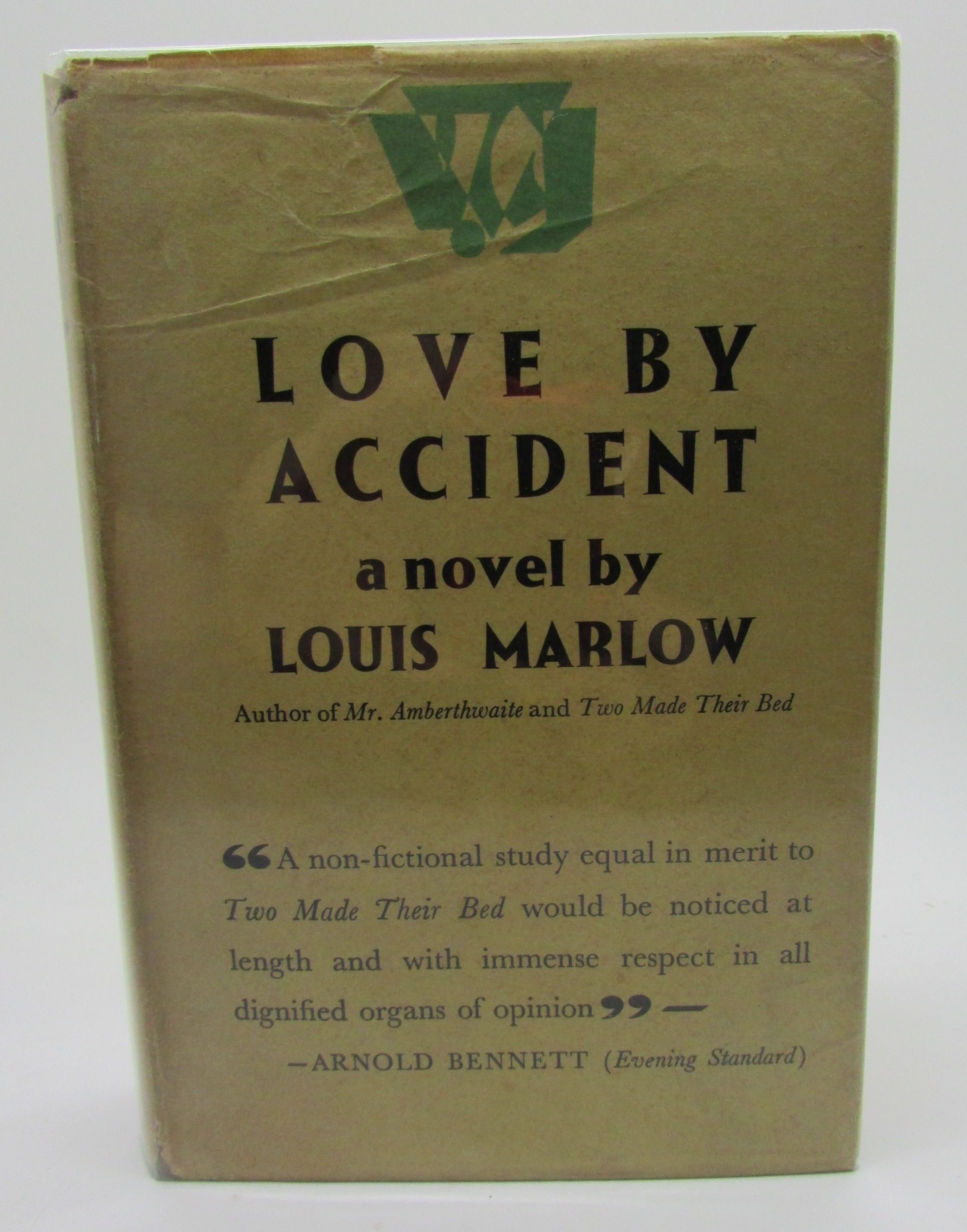 novel love by accident