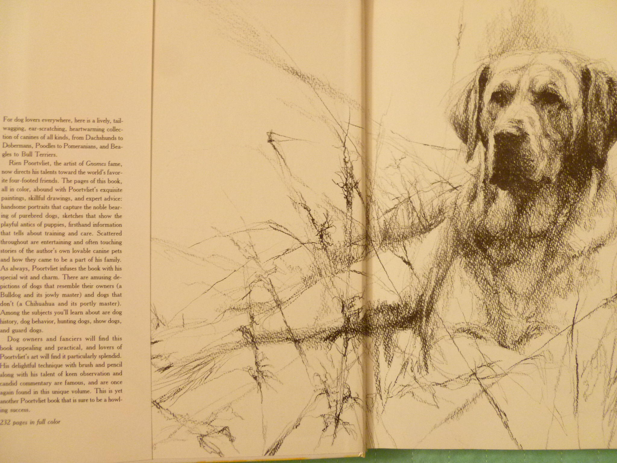 Dogs 作者Rien Poortvliet 水彩画(英語版) Dogs: Poortvliet