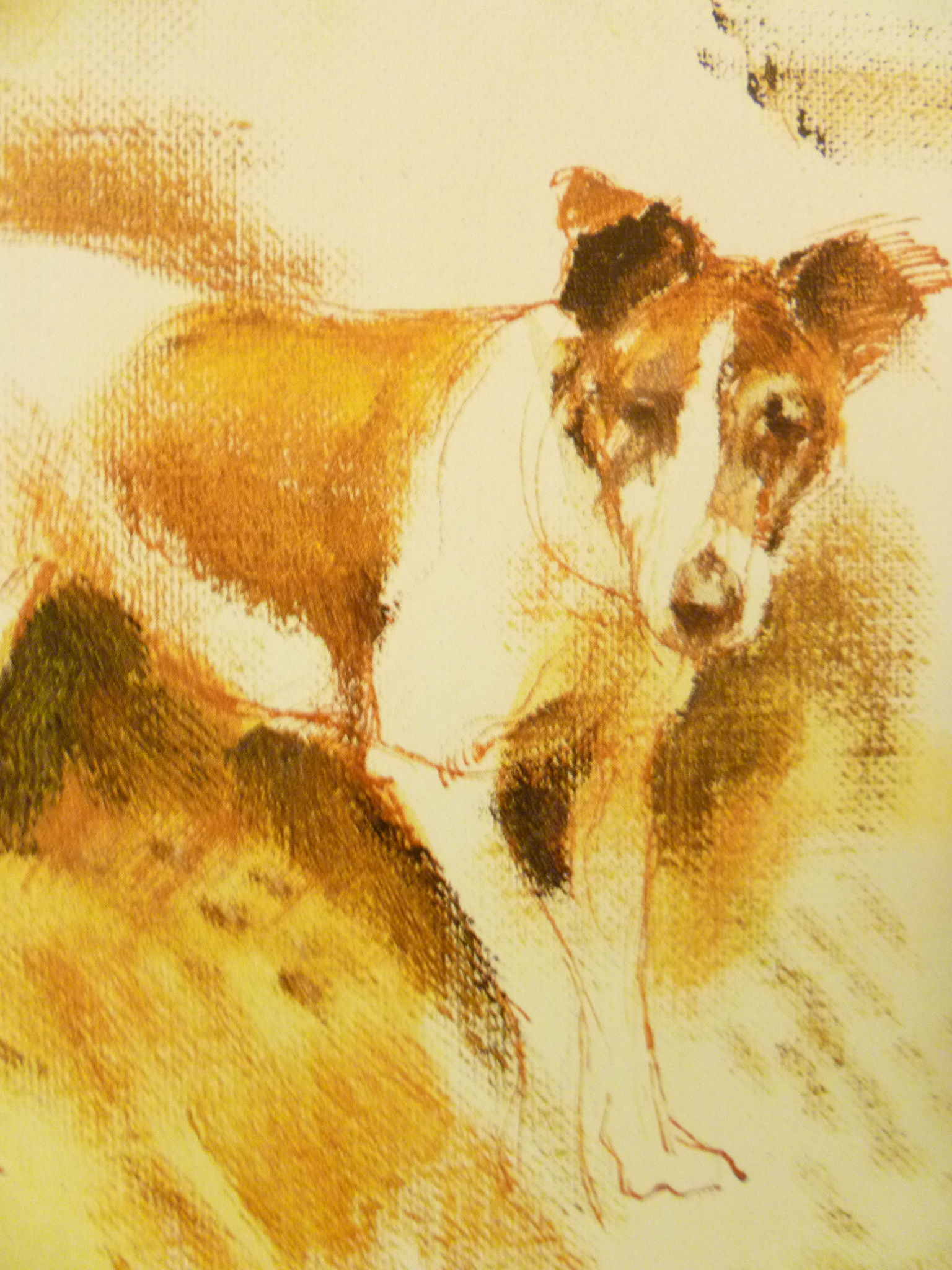 Dogs 作者Rien Poortvliet 水彩画(英語版) Dogs 作者Rien Poortvliet 水彩画(英語版) - メルカリ