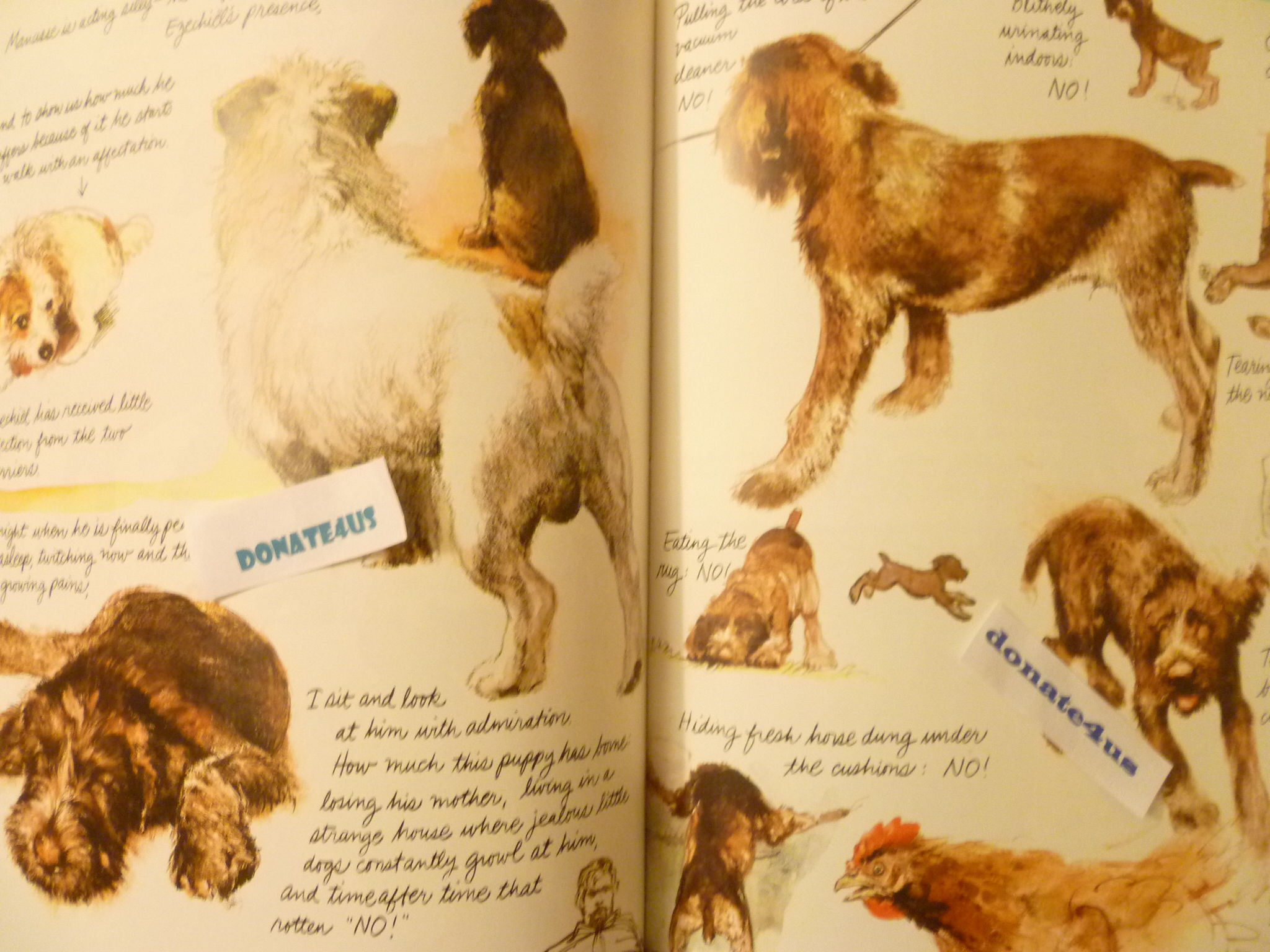 Dogs by Poortvliet, Rien | Hardcover | 1983 | Harry N