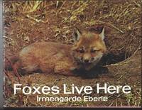 FOXES LIVE HERE