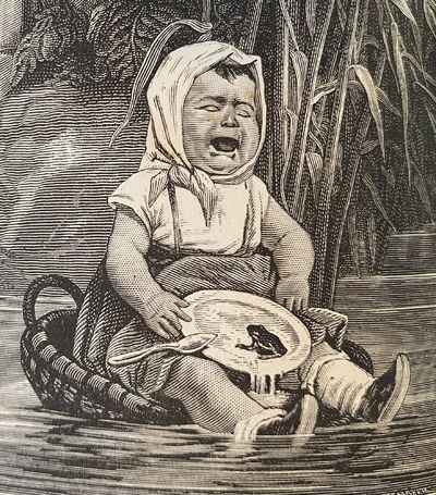 A Tramp Abroad, Illustrated by W. Fr. Brown, True Williams, B. Day, and Other Artists-with also Three or Four Pictures made by the Author of this Book Without Outside Help; in all Three Hundred and Fourteen Illustrations