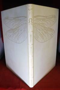 In Fairy Land A series of Pictures from the Elf World by William Allingham