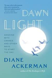 Dawn Light : Dancing with Cranes and Other Ways to Start the Day