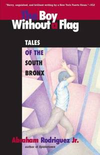 cover of Boy Without a Flag