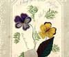 View Image 9 of 18 for 1840s Friendship Album of Young Lady from Devon with Original Artwork, Valentines, Ephemera Inventory #25006111