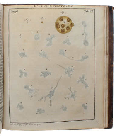 Der monatlich=herausgegebener Insecten=Belustigung. 4 Bde. (Without the "Beiträge" by Kleemann later issued). (photo 6)