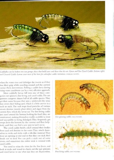 Barr Flies: How to Tie and Fish the Copper John, the Barr Emerger, and Dozens of Other Patterns, Variations, and Rigs. (photo 2)