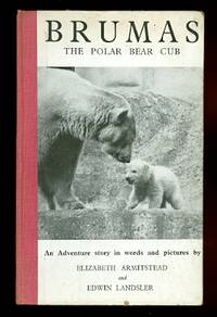 image of BRUMAS THE POLAR BEAR CUB.