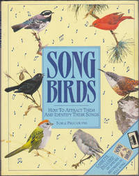 Songbirds: How to Attract Them and Identify Their Songs