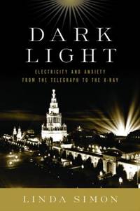 image of Dark Light : Electricity and Anxiety from the Telegraph to the X-Ray