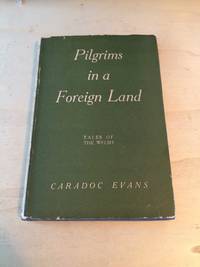 cover of Pilgrims in a Foreign Land