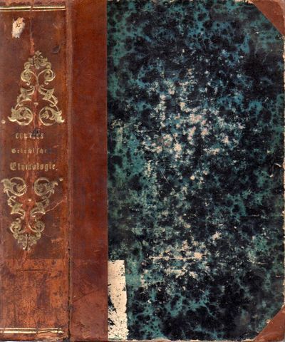 Grundzüge der Griechischen Etymologie.…