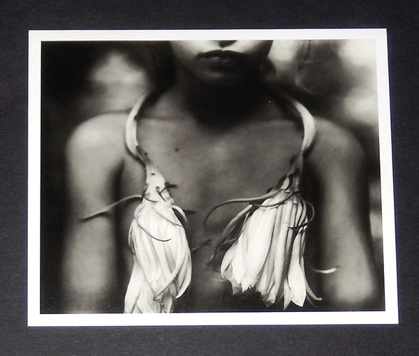 Sally Mann Immediate Family 初版 1992年 写真集 Sally Mann: Immediate Family, Aperture, 1992, Very Good