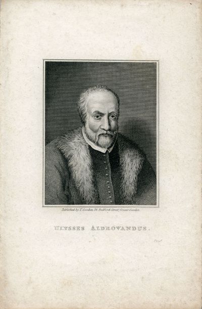 Engraved Portrait