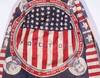 View Image 2 of 4 for Handmade 1880s Harrison Presidential Campaign Skirt Inventory #11181