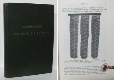 Lärobok i biskötsel. Förut bennämnd råd och…