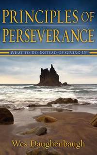 Principles of Perserverance: What to Do Instead of Giving Up