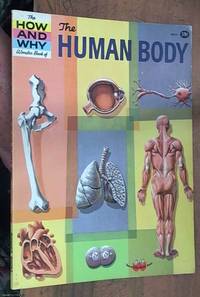 image of The How and Why Wonder Book Of the human body 5013